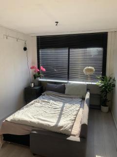 Hotel - Amsterdam - 8