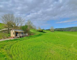 Tiny Mirador à la Ferme - Tréves - 0