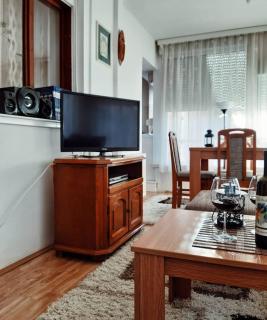 Apartman Dzoni - Vrnjci - 4