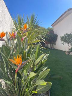 Belle villa classée 4 étoiles proche plage avec jardin - Saint-Cyprien-Plage - 8