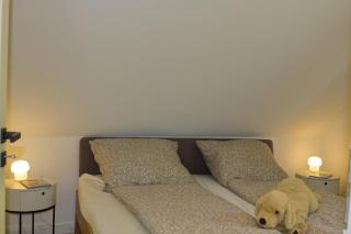 Inselblume 34 - Ferienwohnung mit Loggia - Burg auf Fehmarn - 5