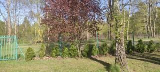 Barwy Lata - Rowy - 9