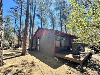 Cozy Pines Cabin in Prescott - 3bd 2ba - 8