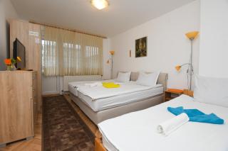 Vila Popović Plaža - Kladovo - 9