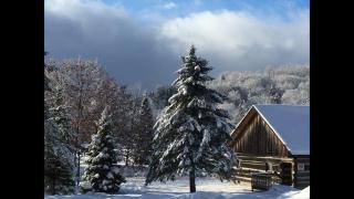 York View House - Bancroft - 2