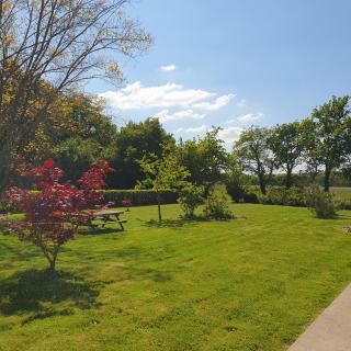 Les Nymphéas - Saint-Lyphard - 9