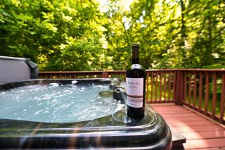 Smoky Mountains Hut Tub Cabin Dog Friendly - Sevierville - 7