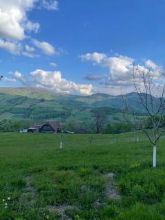 Casă Tradițională Bulz - Văleni - 7