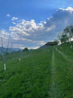 Casă Tradițională Bulz - Văleni - 6