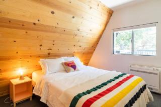 Dog Friendly A-frame Hot Tub Nature Views - Idyllwild - 6