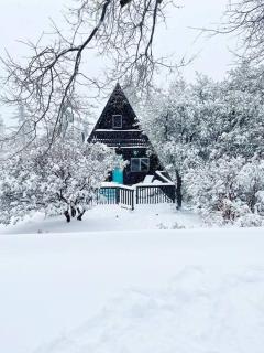 Dog Friendly A-frame Hot Tub Nature Views - Idyllwild - 1