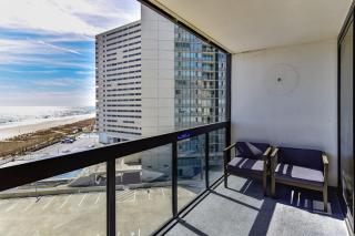 GS 616 - Driftwood - 3