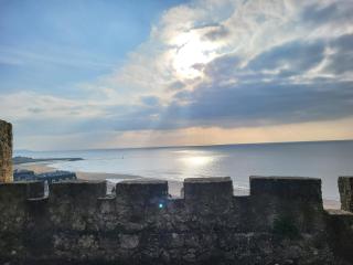 Domaine des Roches - Trouville-sur-Mer - 3