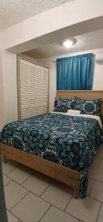Beach Front Haven, by More Than Beauty Properties - Tortola - 8