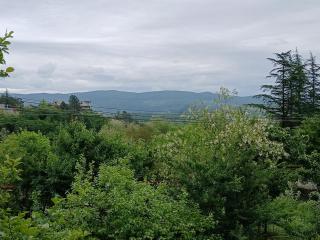 Villa Agmashenebeli - 1