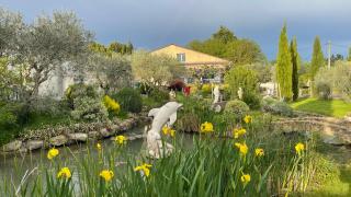 Studio les petits lutins - Entraigues-sur-la-Sorgue - 7