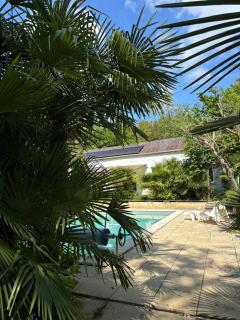 Les palmiers de Valence - Valence - 2