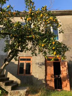 Cozy place in mountains of Ajaria - Kokhi - 0