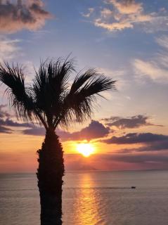 Residenza Stefanelli - Capo Vaticano - 5