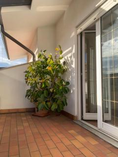 Diva home monfy - Monfalcone - 6