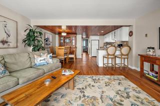 HPN 11G - Salty Sandpiper - 3