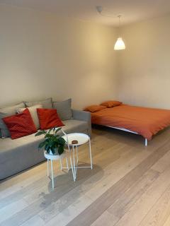 Cozy Studio Flat in Saska Kępa - Warschau - 9