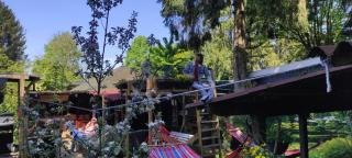 "Tempat Senang" chalet on the beautiful Veluwe with airco sauna bbq jacuzzi beamer and dog - 8