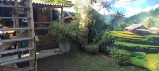 "Tempat Senang" chalet on the beautiful Veluwe with airco sauna bbq jacuzzi beamer and dog - Putten - 8