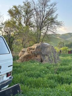 Village house - Imeni Karla Marksa - 1
