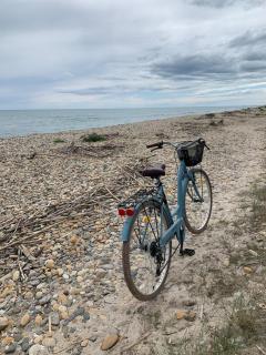Havre de paix à deux pas de la plage - Vic-la-Gardiole - 7