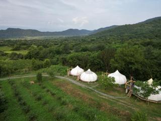 Peace Camp Gremi - Gremi - 9