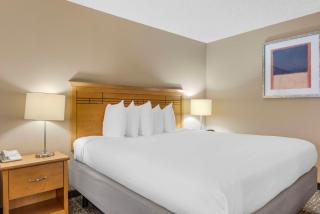 Best Western Aladdin Inn - Kelso - 8