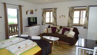 AlpinResort DerBacherhof - Niedernsill - 7