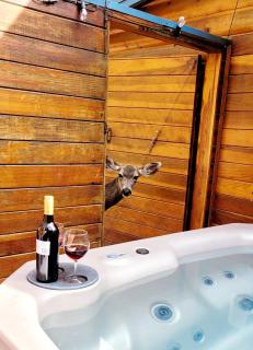 Cowboy's Trail with HotTub, King&QueenBed, in UpperCanyon, Pets welcome - 0