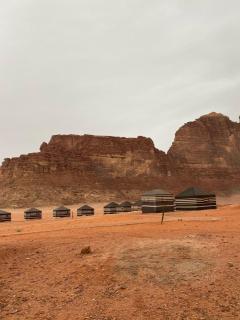 Wadi Rum Crescent Camp & Tours - Wadi Rum - 6