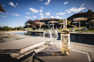 Locanda Cossetti Ranch Winery - Incisa Scapaccino - 8