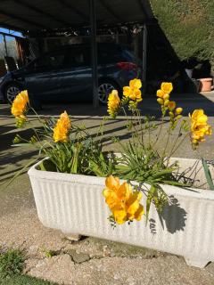 Apartment between Sea & Mountains - Mougins - 7