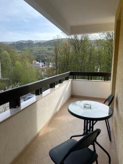 Pensiunea Iulia Star - Băile Olăneşti - 4