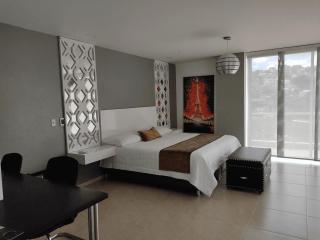Hotel Andinos Plaza Florencia - Florencia - 7