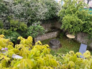 White Ventoux-central-parking gratuit-securise-terrasse & jardin - Malaucène - 1