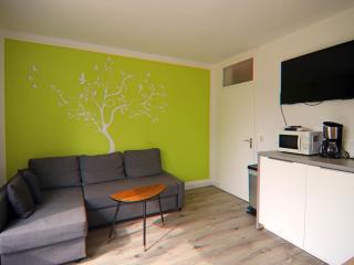 Ferienwohnung Hexenzauber I in Braunlage - 1