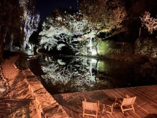 Le Moulin Dumas - Grignan - 4