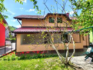 Apartment Residence House - Bihać - 4