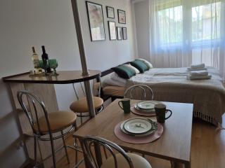 Apartament Parkowy - 7