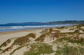 Pacific Plaza #303 - The Shark Shack - Oceano - 2