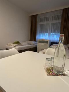 Urban Stay Kremsmünster Studio - Kremsmünster - 5