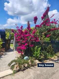 Dream Tiny House or Luxus Tent with pool - Chania - 9