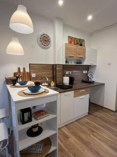 Apartmani Bajic - Vršac - 9
