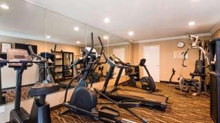 Best Western Willows Inn - Willows - 4