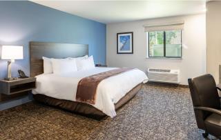 My Place Hotel-Jacksonville-Camp Lejeune, NC - Jacksonville - 7